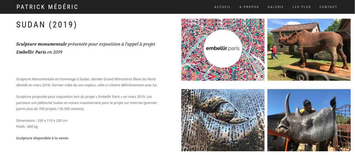 page web artiste
